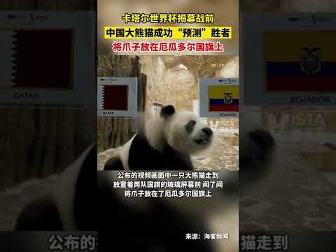 哈维解读,欧洲球队点,评与巴萨近,Tcg天成彩票,彩票平台,在线投注,实时开奖,彩票预测