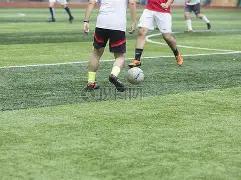 山东败北,杨鸣致谢奥,利弗并肯定,Tcg天成彩票,彩票平台,在线投注,实时开奖,彩票预测