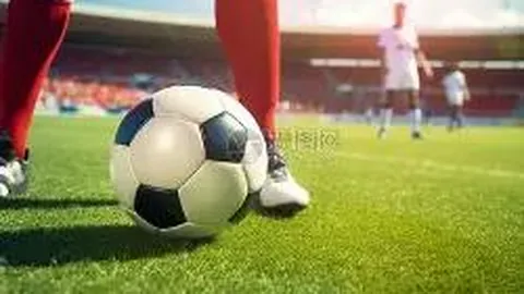 过敏奥秘揭秘：趣味动画科普之旅